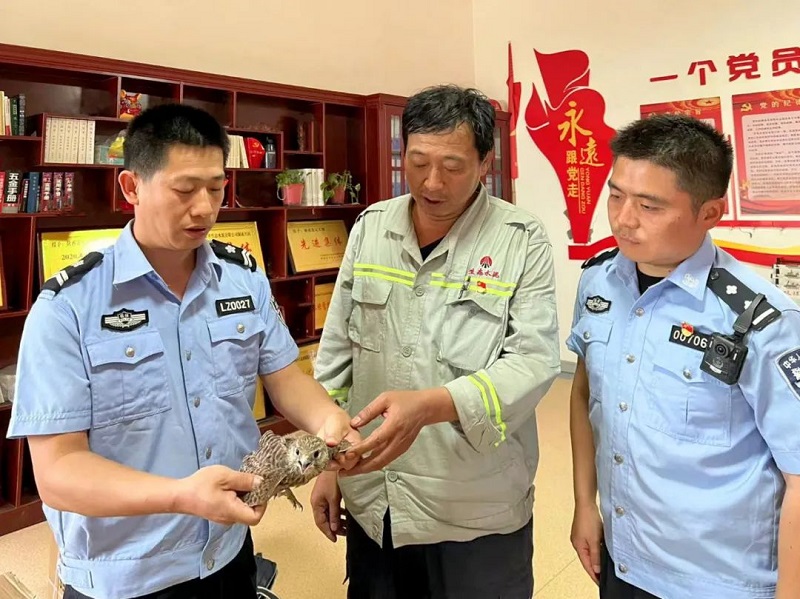 暖心！富平公司與薛鎮派出所攜手成功救助國家二級保護動(dòng)物